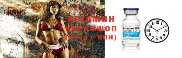 дмт Дмитров