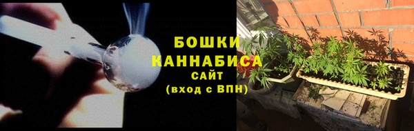 дмт Дмитров