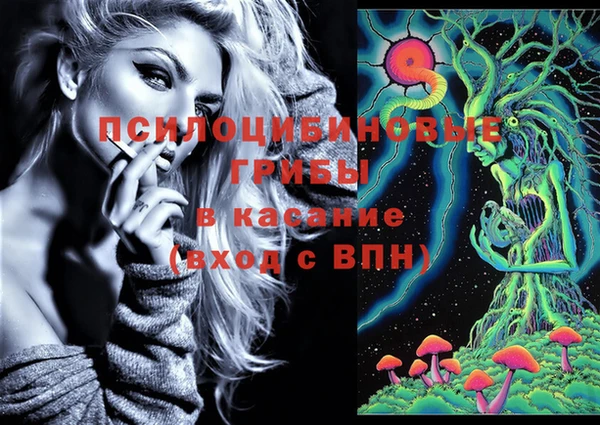 ешки Дмитровск