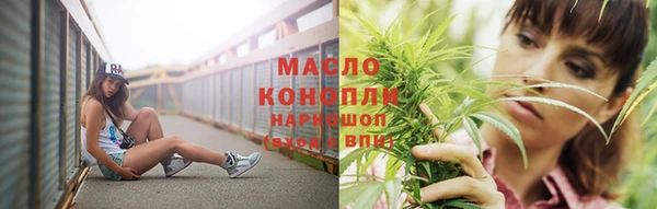 дмт Дмитров