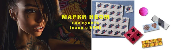 дмт Дмитров