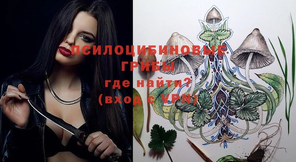 дурь Дмитриев