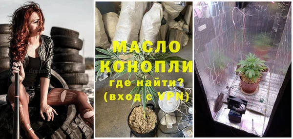 дурь Дмитриев