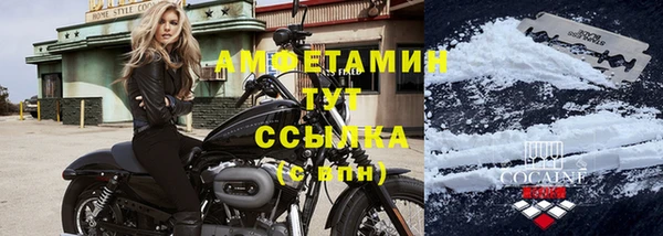 дмт Дмитров