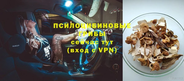 дурь Дмитриев
