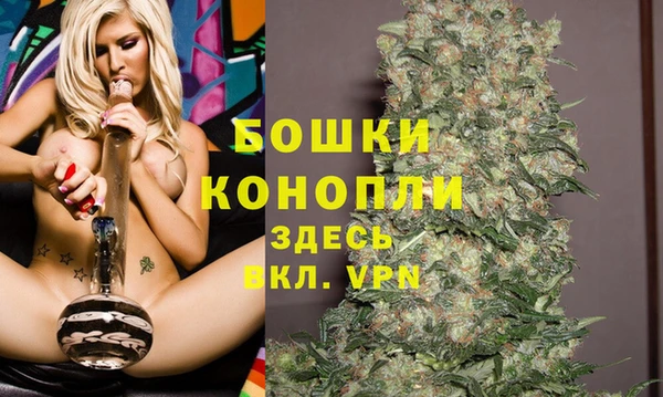 ешки Дмитровск