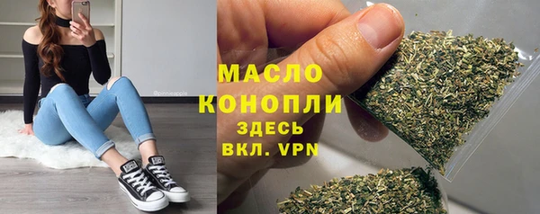 дмт Дмитров