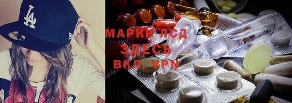 дмт Дмитров