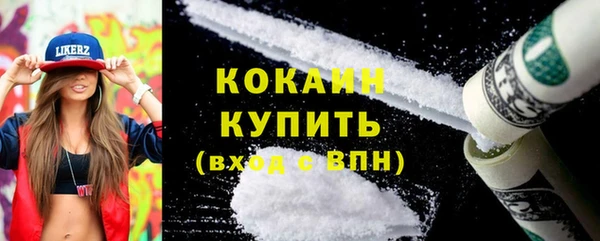 дмт Дмитров